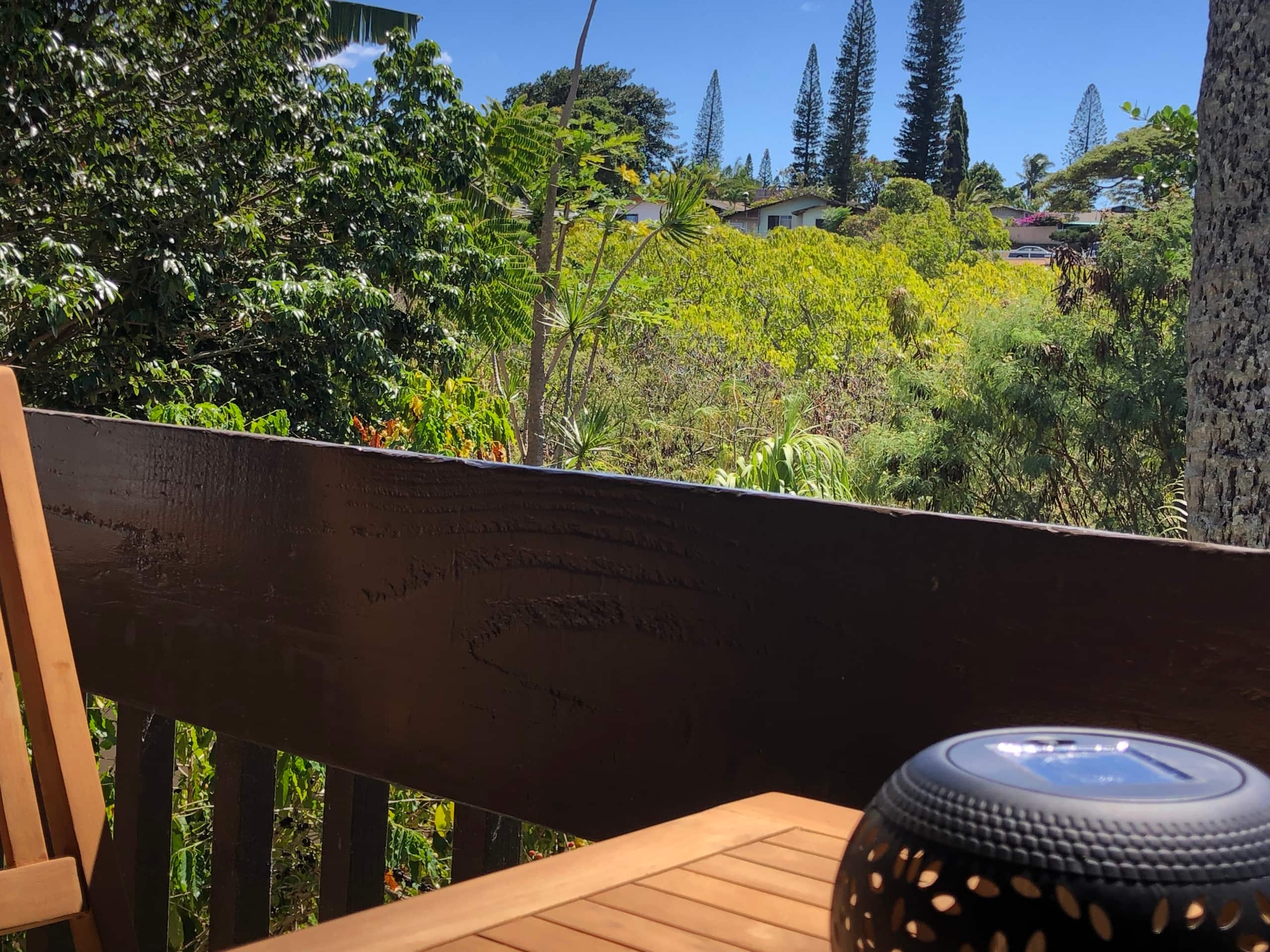 Condo in Lahaina · ★4.98 · Studio · 1 bed · 1 private bath - Image 18