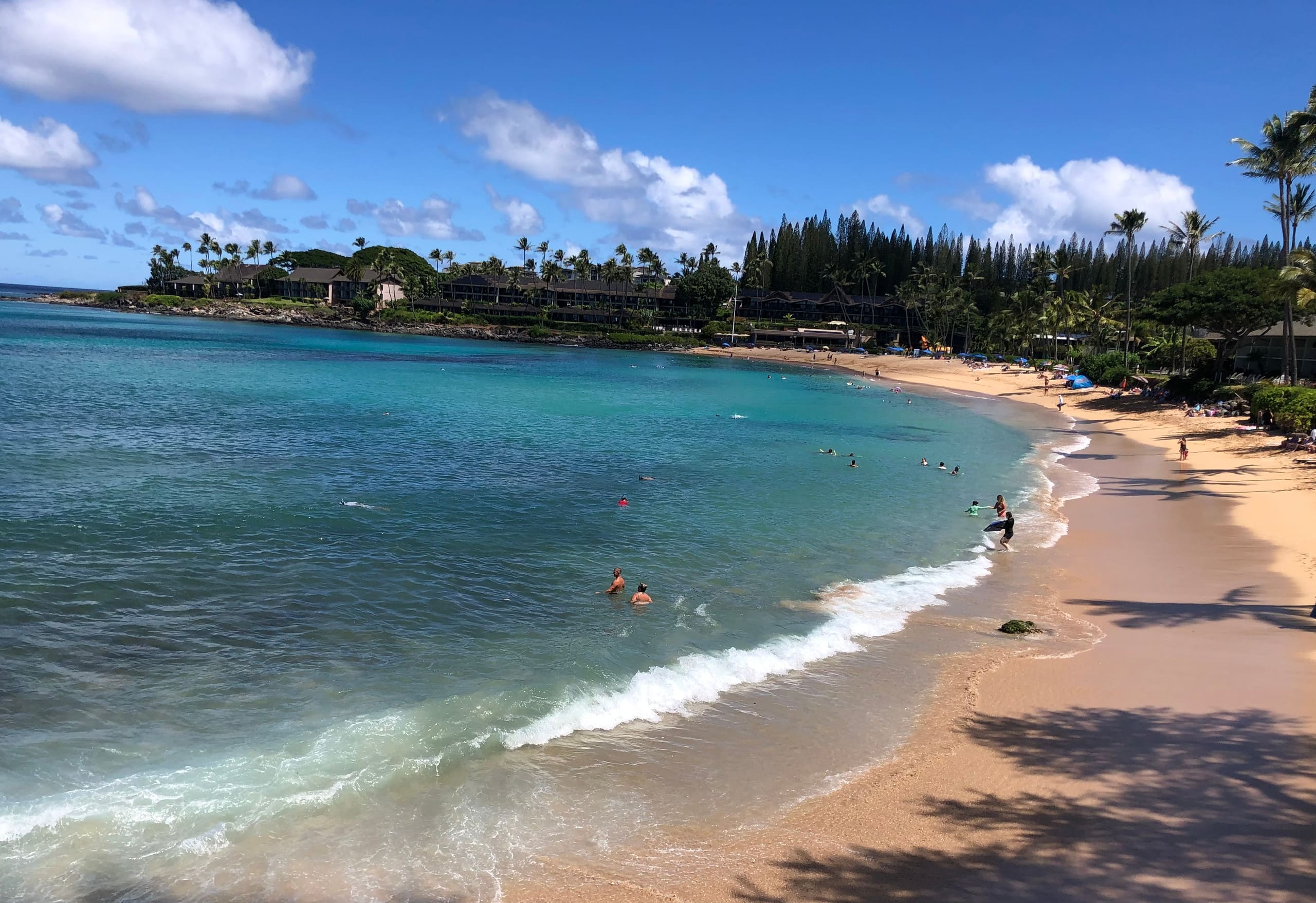 Condo in Lahaina · ★4.98 · Studio · 1 bed · 1 private bath - Image 30
