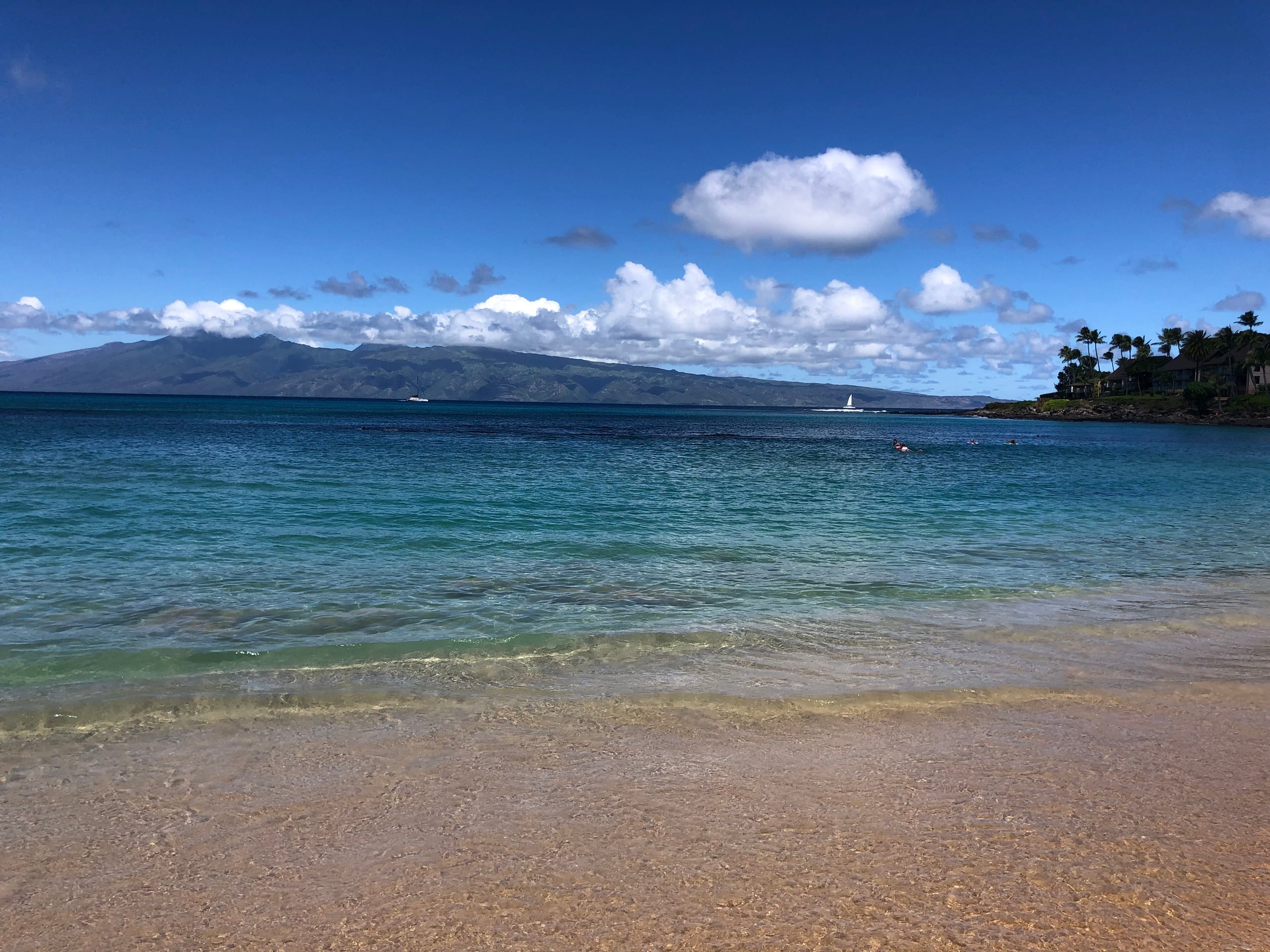 Condo in Lahaina · ★4.98 · Studio · 1 bed · 1 private bath - Image 37