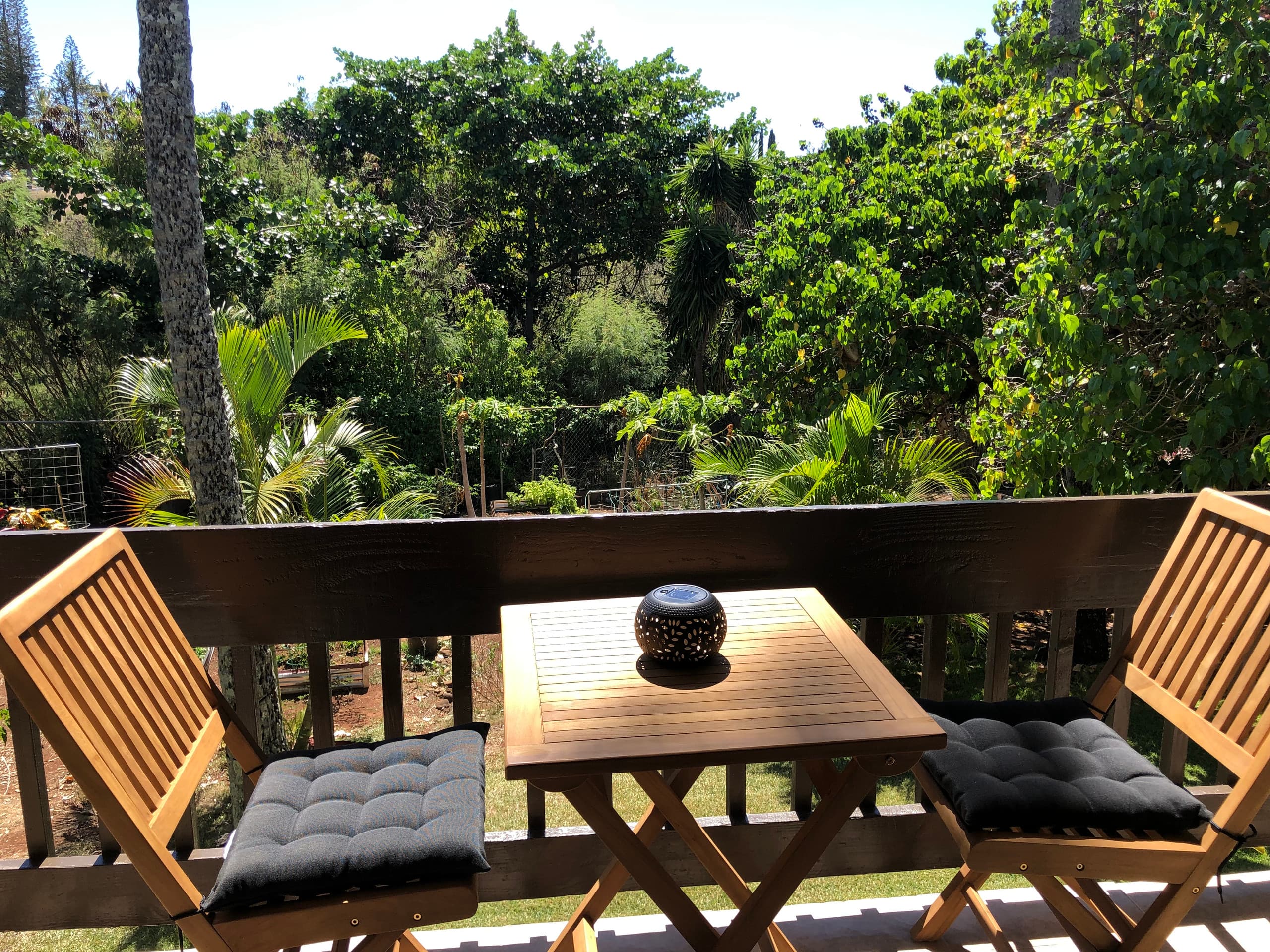 Condo in Lahaina · ★4.98 · Studio · 1 bed · 1 private bath - Image 16