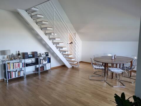 Apartment with great views over Rhine and Basel