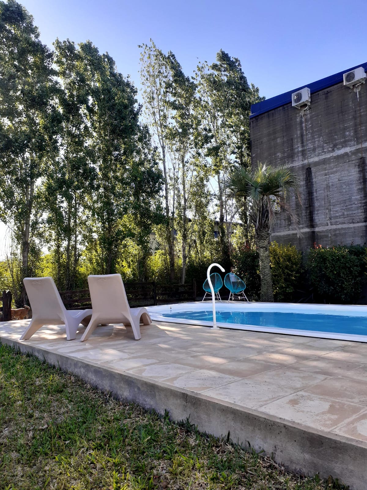A serene outdoor space is highlighted by a clean swimming pool, bordered by a tiled patio. Two light-colored lounge chairs are positioned near the water, surrounded by lush greenery and tall trees, offering a sense of privacy and tranquility.