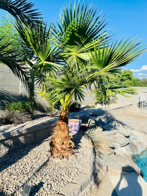 Peaceful Desert Home, close to State Farm Stadium