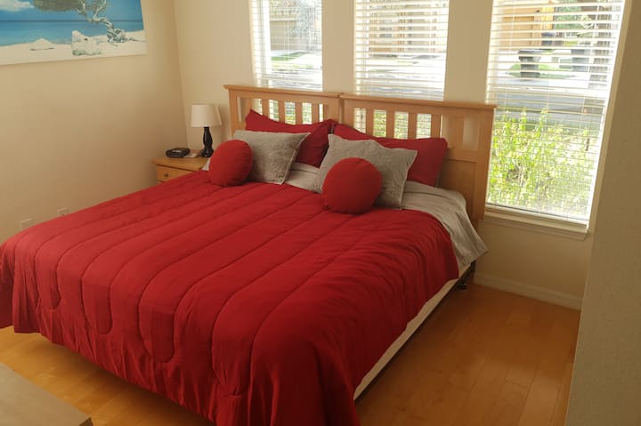 חדר שינה למטה (מיטת קווין סייז) עם טלוויזיה ותיבת רוקו.