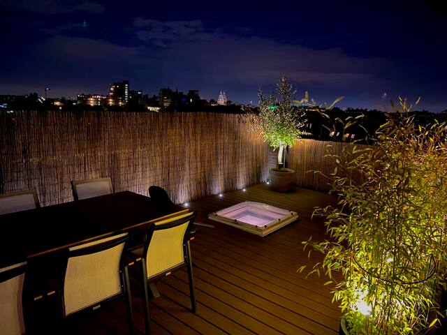Double penthouse + stunning rooftop terrace gallery image 2