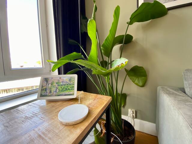 Double penthouse + stunning rooftop terrace gallery image 4