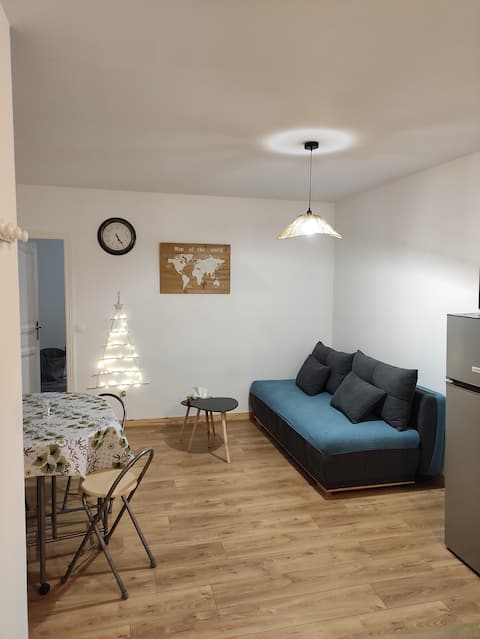 Charming apartment 25 minutes away from Paris.
