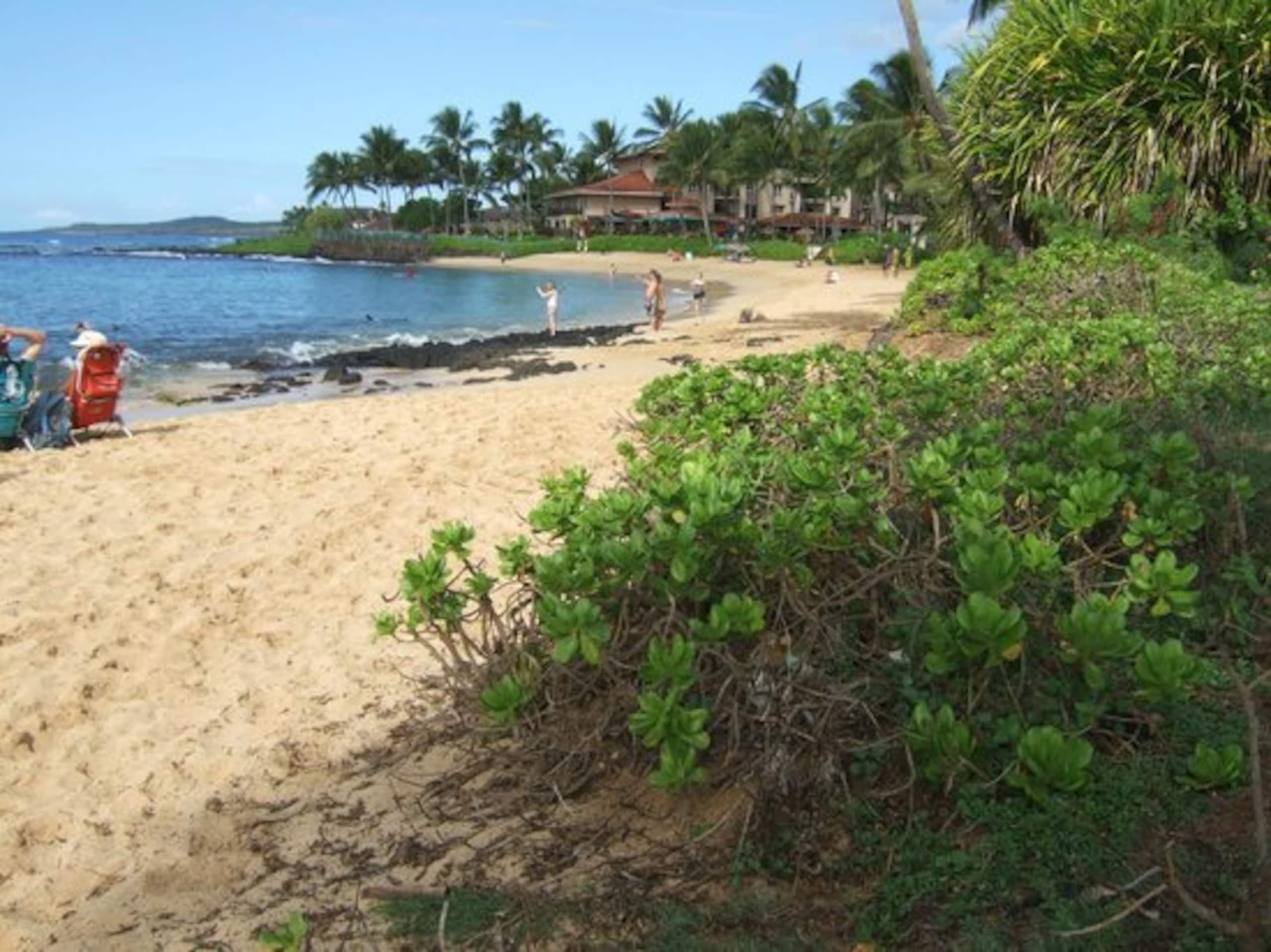 Condo in Koloa · ★4.81 · 2 bedrooms · 3 beds · 2 private baths - Image 24