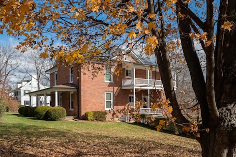 "Virginia Beauty" in Historic Tree Streets