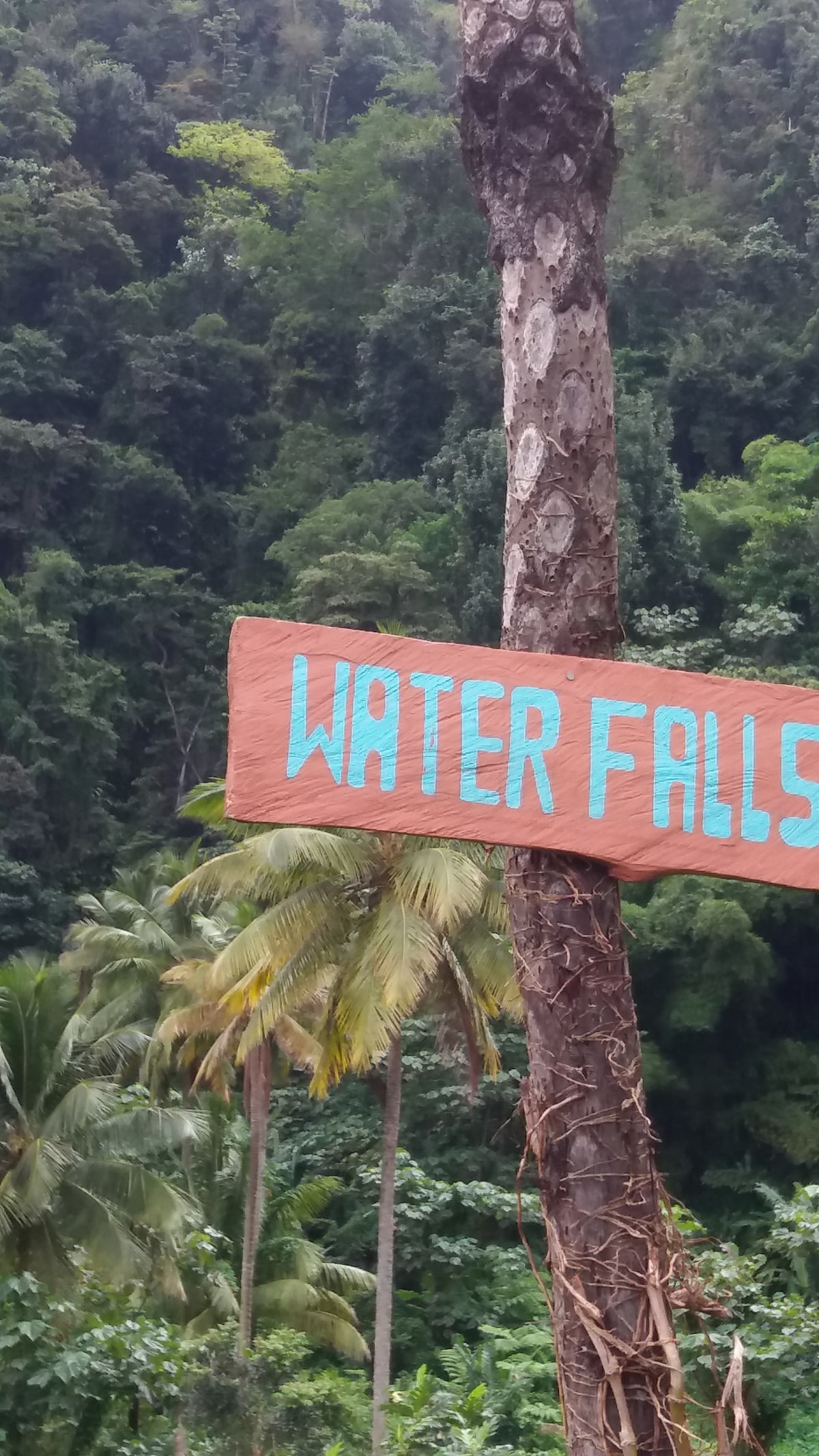 A wooden sign painted in bright blue reads 'WATER FALLS' and is mounted on a tree trunk. The lush green foliage of tropical trees and palm leaves surrounds the area, creating a vibrant natural backdrop.