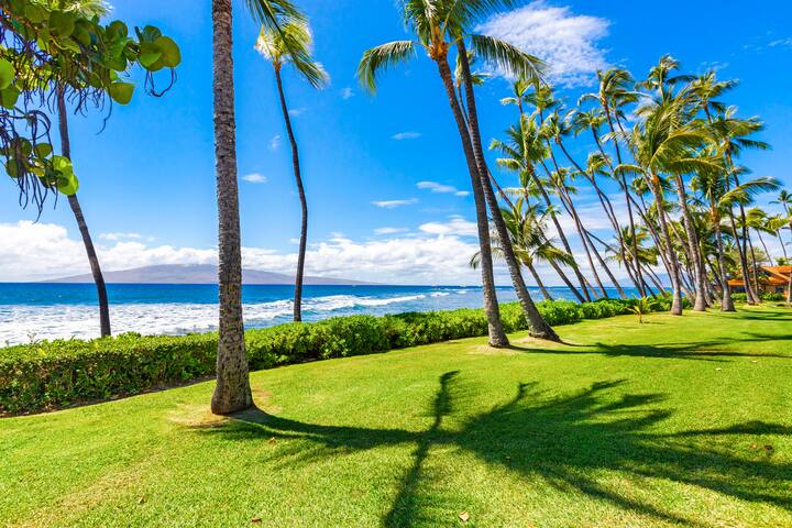 OCEAN FRONT | POOL! Walk to the Beach! 3 KING BEDS gallery image 4