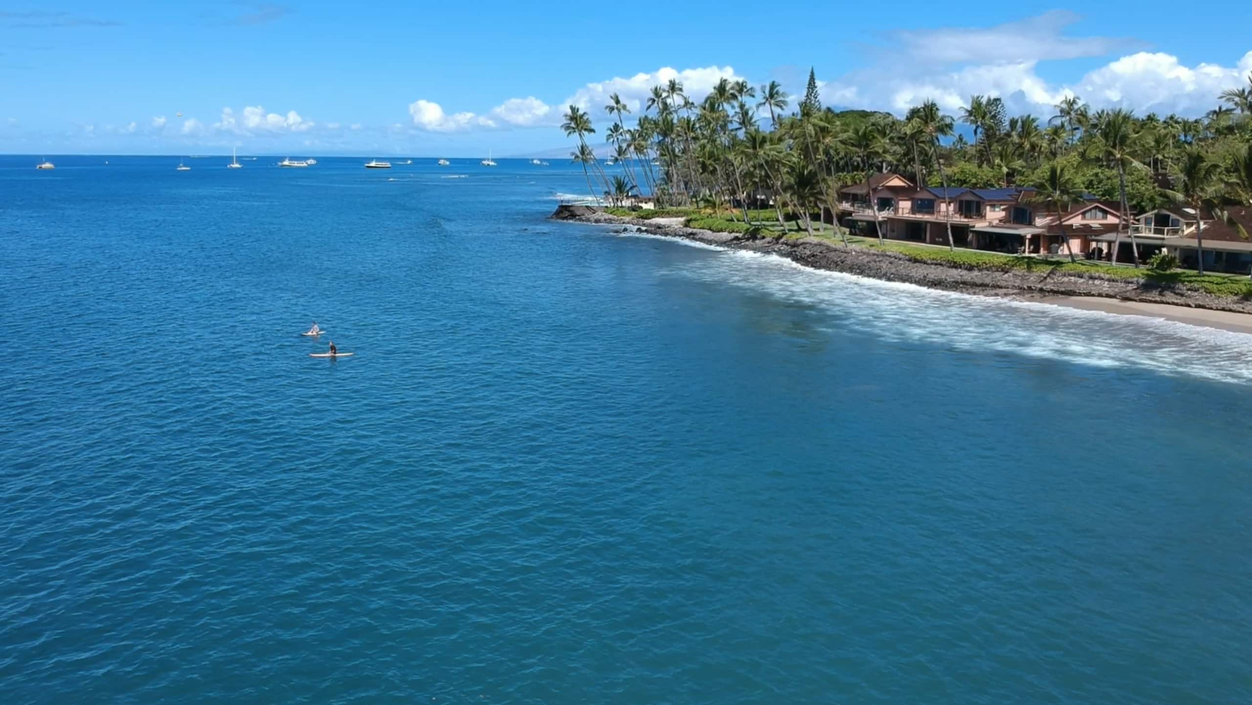 Townhouse in Lahaina · ★4.95 · 3 bedrooms · 4 beds · 2.5 baths - Image 75
