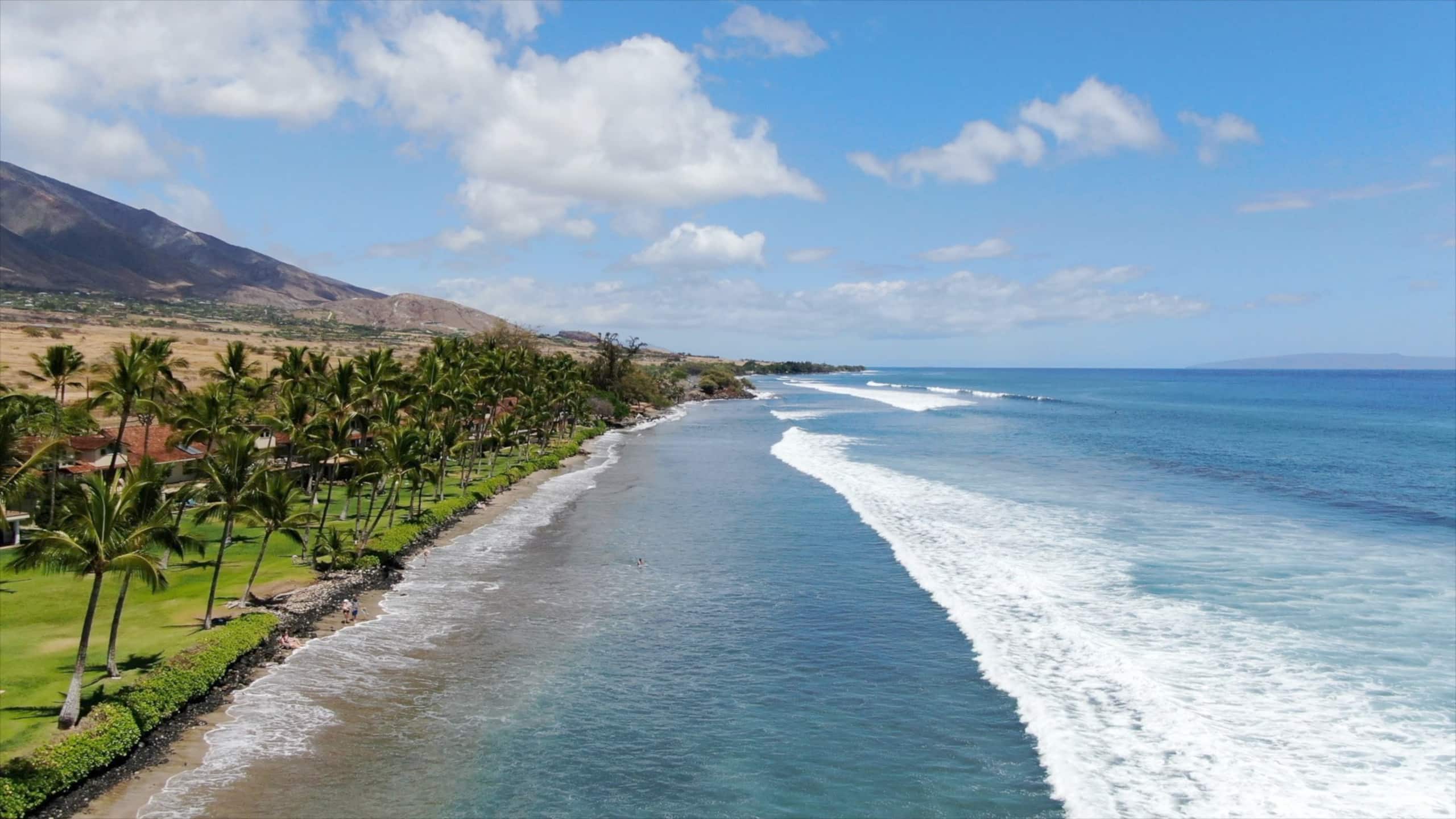 Townhouse in Lahaina · ★4.95 · 3 bedrooms · 4 beds · 2.5 baths - Image 72