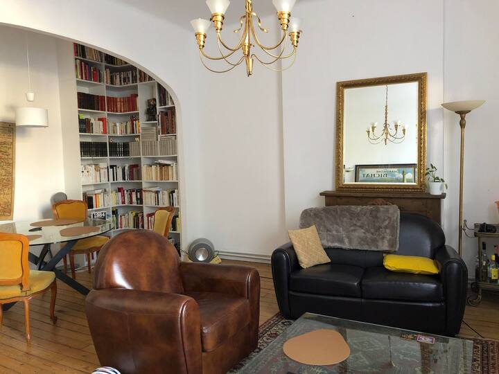 Reims stunning apartment, oldfashioned charm Apartments for Rent in