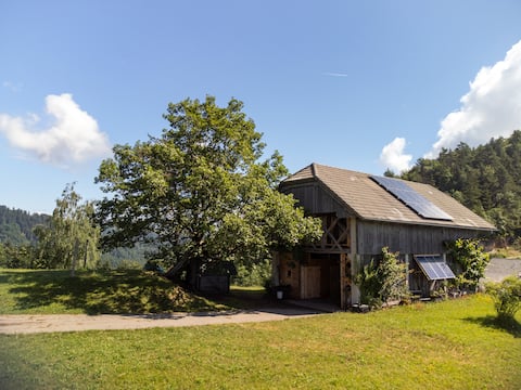 Kozolec, a unique farm stay