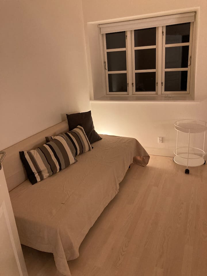 Værelse 2: Sovesofaen som sofa 