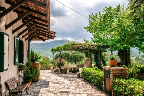 Francesco Farm