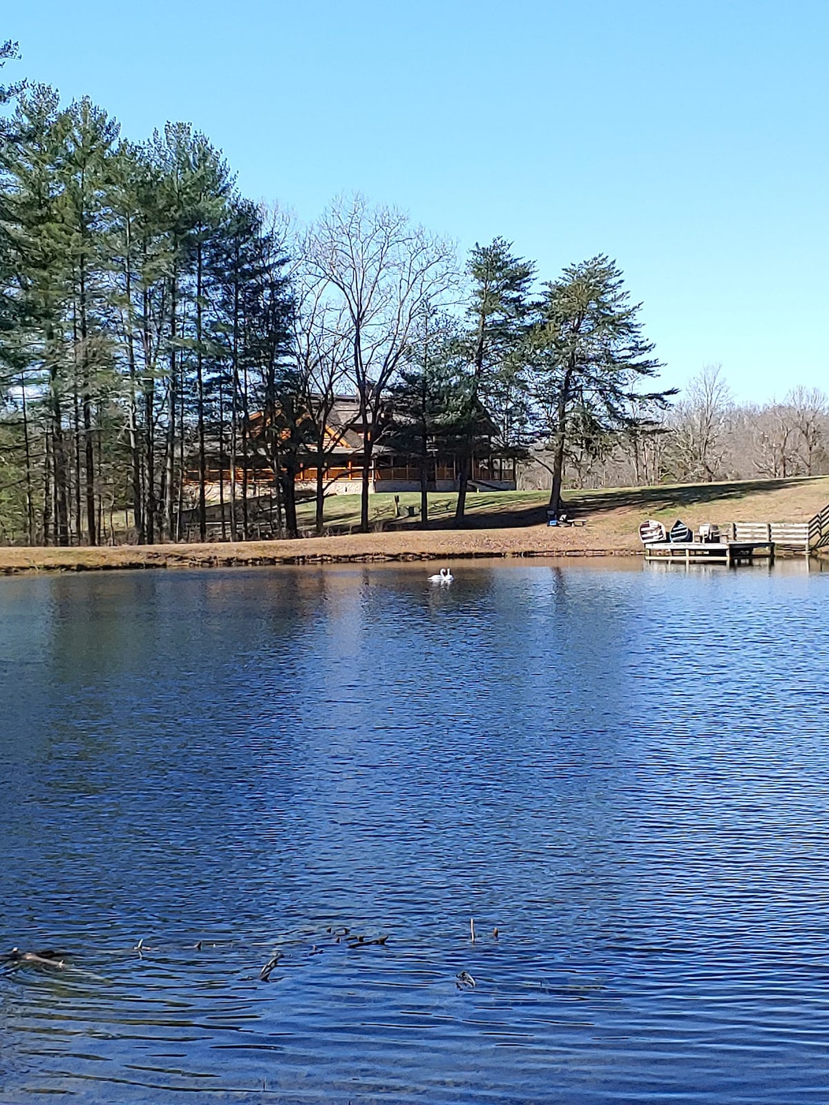A serene private lake is surrounded by tall trees, reflecting a blue sky. In the distance, an Amish-built cabin is visible, alongside a wooden dock. A small group of people can be observed near the water's edge, enjoying the peaceful scenery.