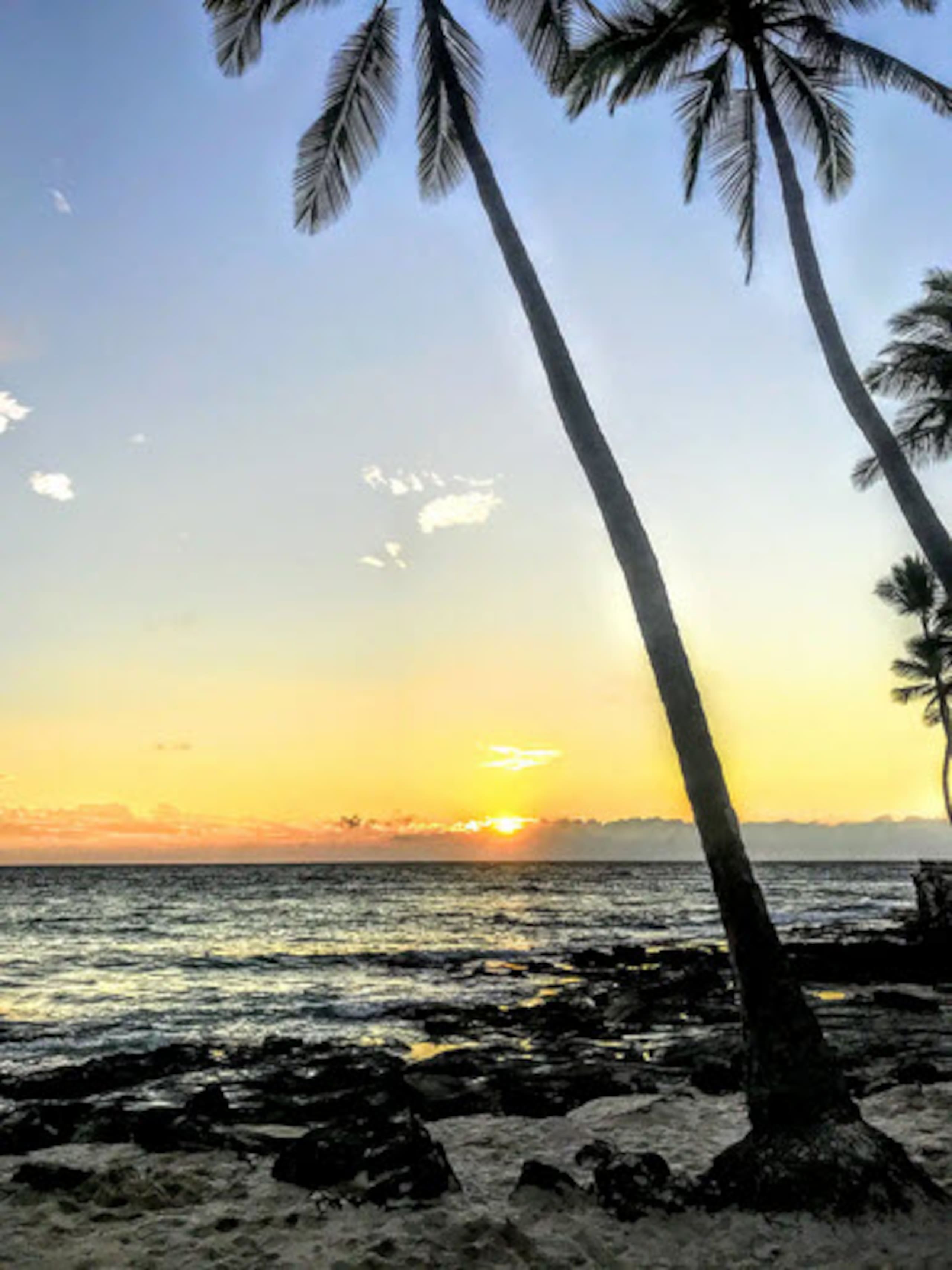 Home in Kailua-Kona · ★4.82 · 4 bedrooms · 5 beds · 4 private baths - Image 40