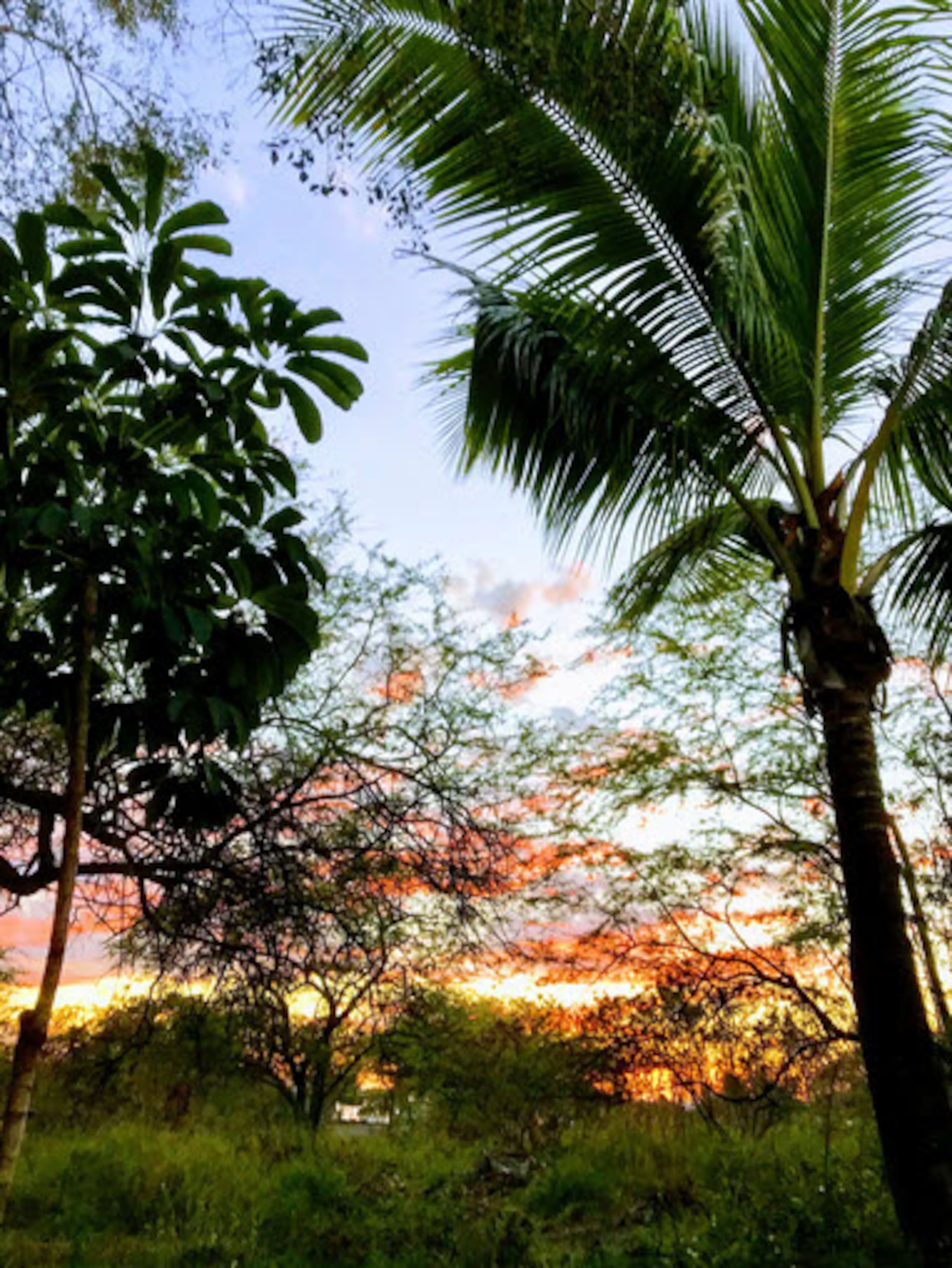 Home in Kailua-Kona · ★4.82 · 4 bedrooms · 5 beds · 4 private baths - Image 37