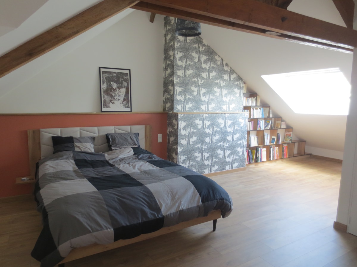 A spacious bedroom features a large bed with a checkered duvet cover. A patterned accent wall adds visual interest, while a shelf filled with books lines one side of the room. Natural light streams in through a skylight, enhancing the open atmosphere.