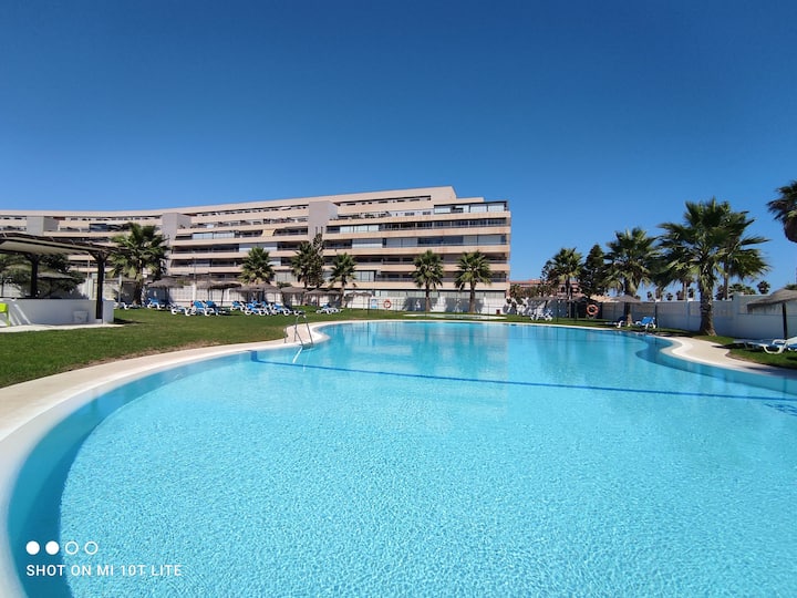 Sensational apartment on the beachfront Apartments for Rent in