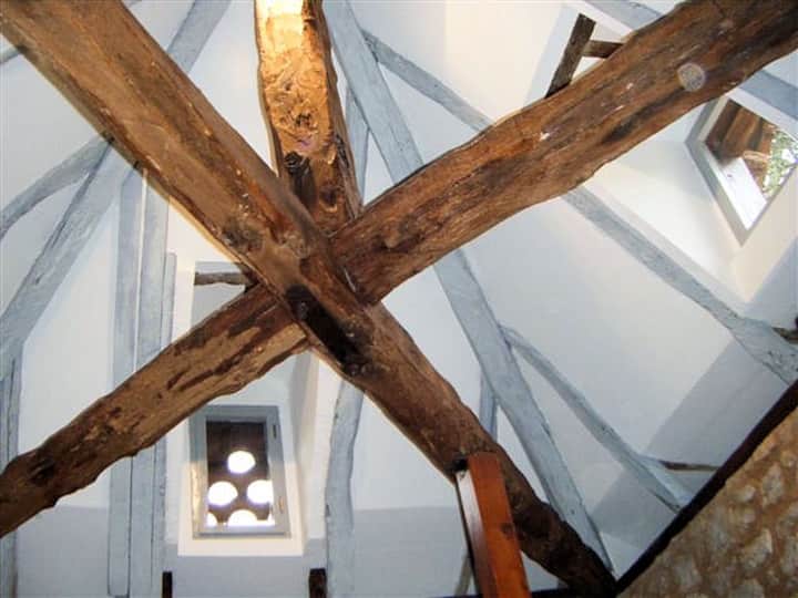 سطح "الطيور" وغرفة نوم "السقف" في الطابق الثاني من شجرة الحمام