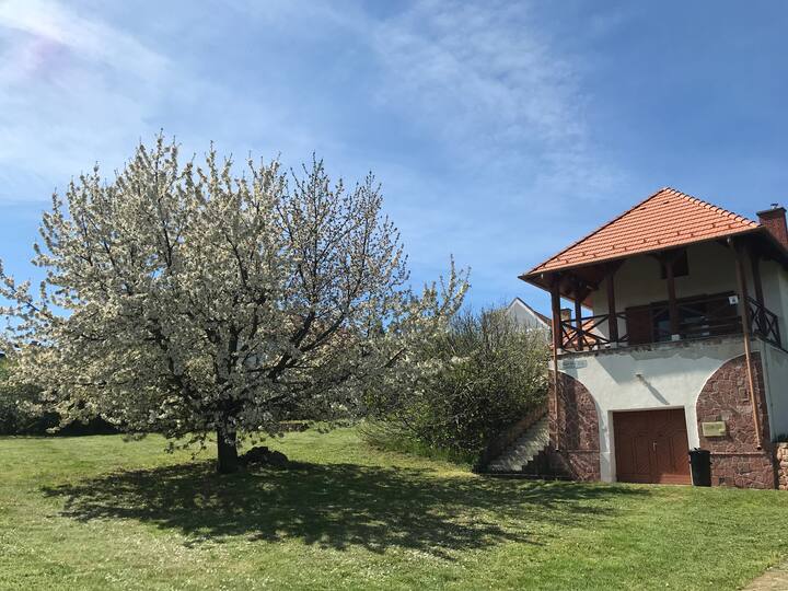 Family vacation home with a panoramic view of the Lake Holiday homes