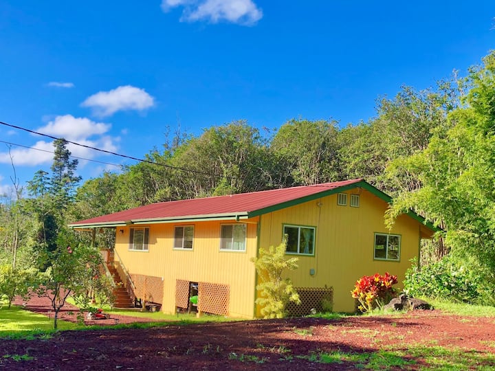 Cheerful, spacious home filled with aloha