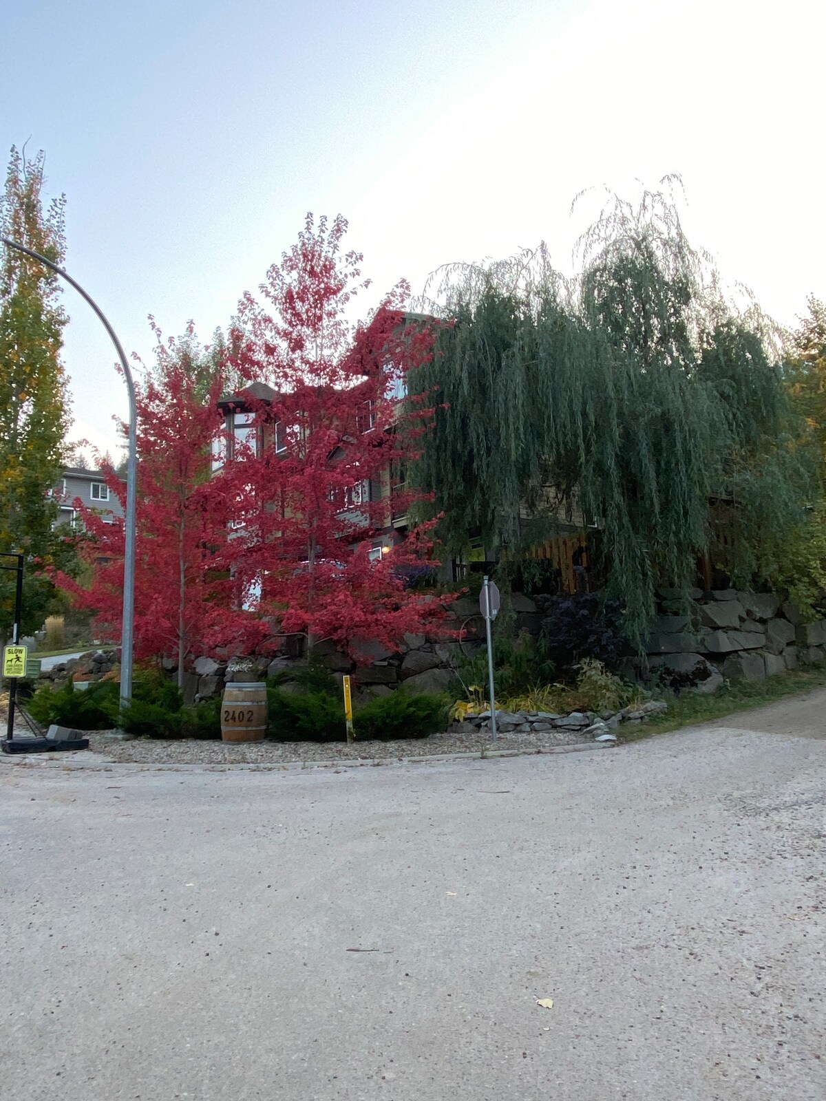 The exterior of a family home is pictured, surrounded by lush greenery and vibrant autumn foliage. Red maple trees and a large weeping willow enhance the natural setting, while a gravel road curves gently in front of the property. The home features a blend of stone and siding.