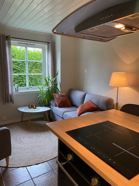 Cozy basement apartment with short distance to the sea.