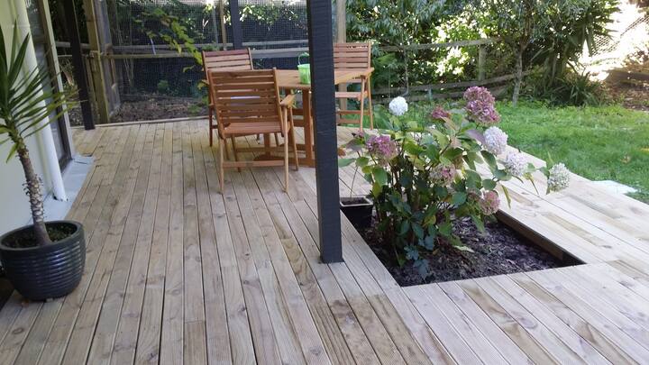 Dog friendly in Plimmerton