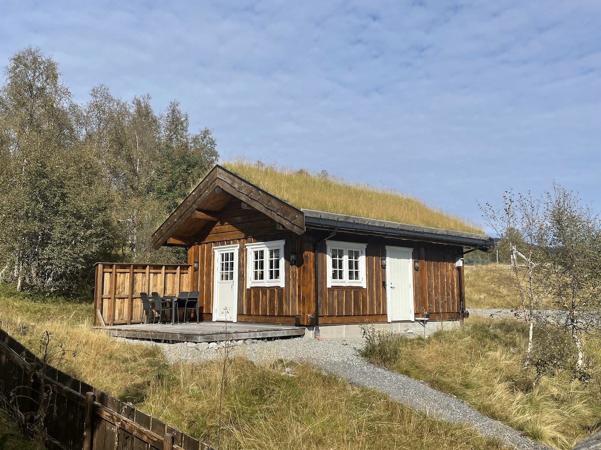 A small wooden cabin is set amidst a natural landscape. The structure features a grass-covered roof, wooden walls, and multiple windows allowing for ample light. A patio with a table and chairs is visible at the front, surrounded by grass and trees.