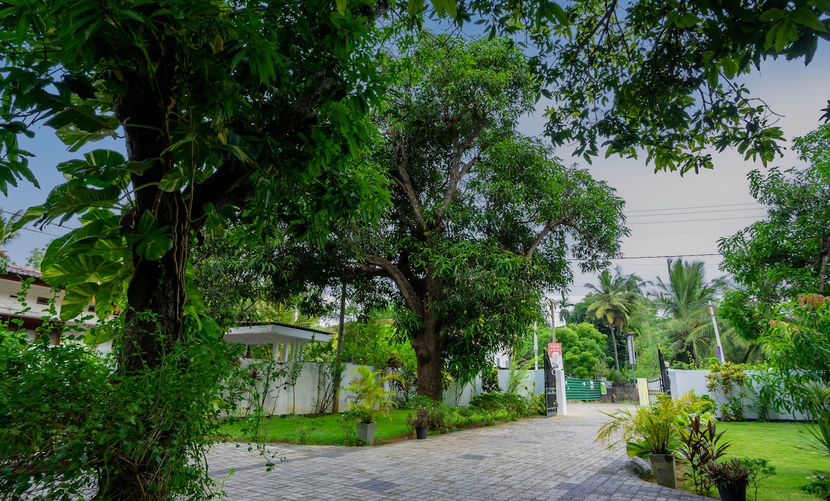 A lush, green garden area is featured, with tall trees and tropical plants elegantly framing a paved pathway. The entrance is marked by decorative planters, providing an inviting atmosphere. Sunlight filters through the branches, casting gentle shadows on the ground.