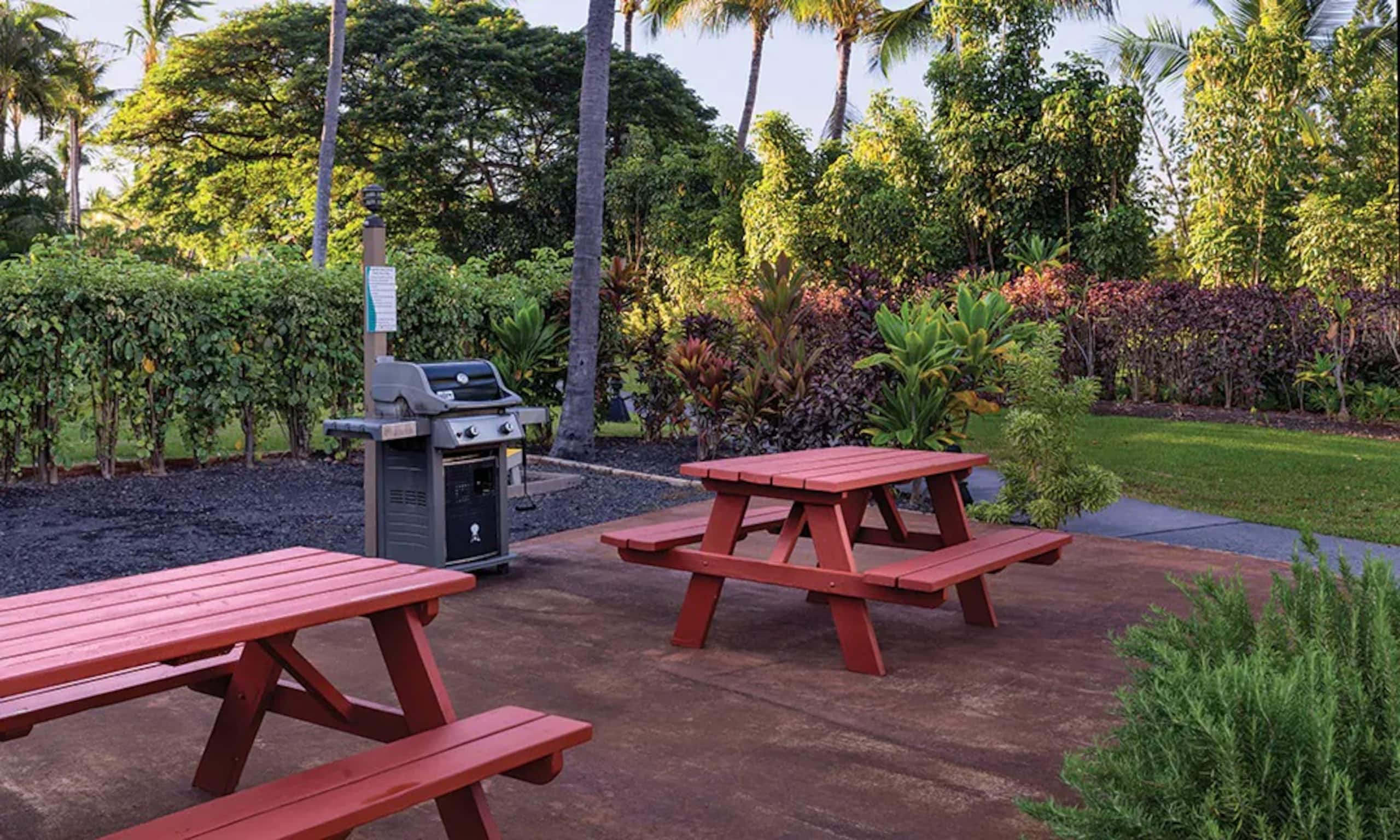 Condo in Kailua-Kona · ★4.83 · 1 bedroom · 2 beds · 1 shared bath - Image 24