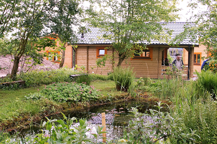 A charming wooden chalet is set amidst lush greenery, featuring a small pond surrounded by various plants. The building has large windows that invite natural light, and trees provide shade, enhancing the tranquil outdoor setting.