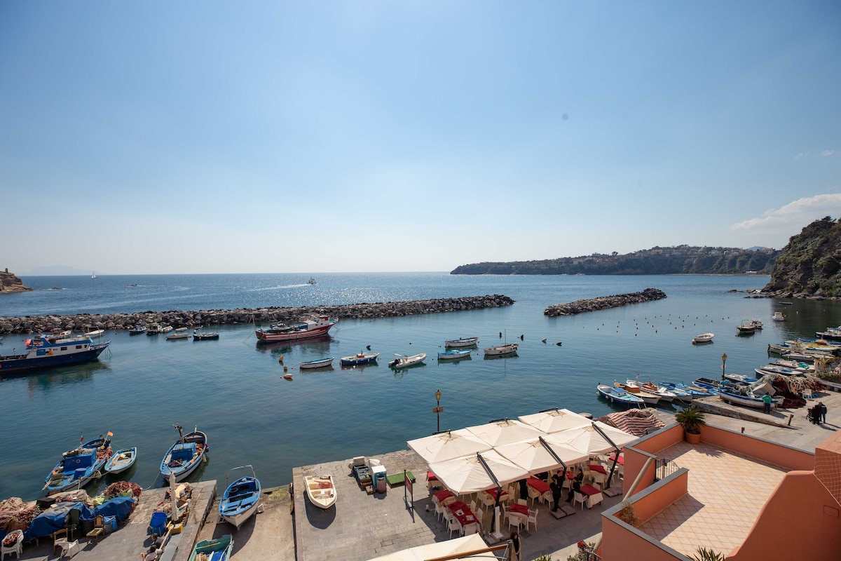 The image captures a serene coastal view featuring a calm harbor dotted with colorful fishing boats. A breakwater granulates the scene, while distant hills frame the horizon under a clear blue sky. Umbrella-covered tables line the waterfront, inviting quiet relaxation.