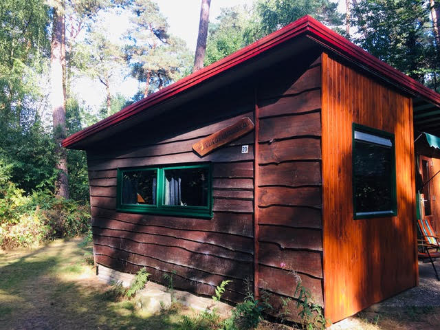 A rustic cabin crafted from timber with a vibrant red roof stands amid lush greenery. Its wooden exterior features natural grain patterns, and large windows framed in green allow light to enter. A wooden sign indicating the cabin's name is mounted on the wall.