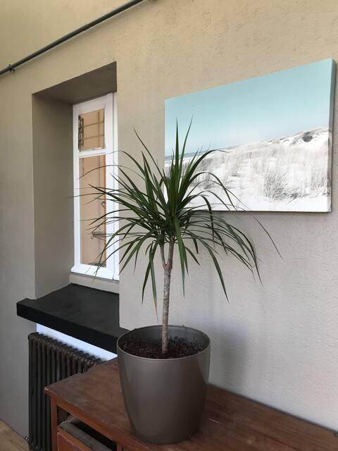 Warm and comfortable fully equipped home