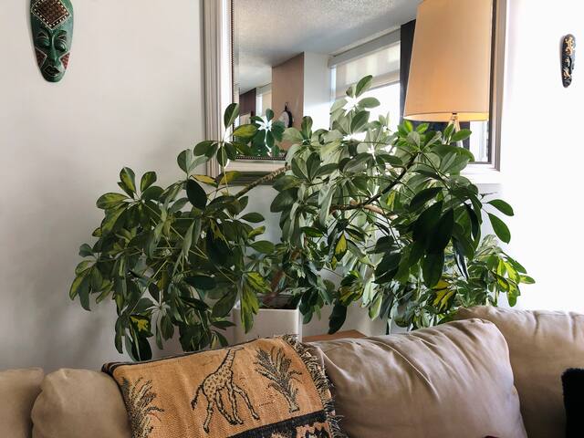 Cozy 4 Bedroom Condo near CN tower w/ Fire pit gallery image 3