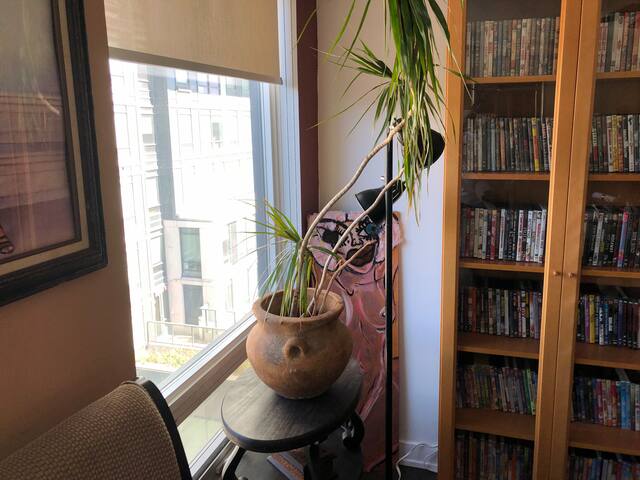 Cozy 4 Bedroom Condo near CN tower w/ Fire pit gallery image 5
