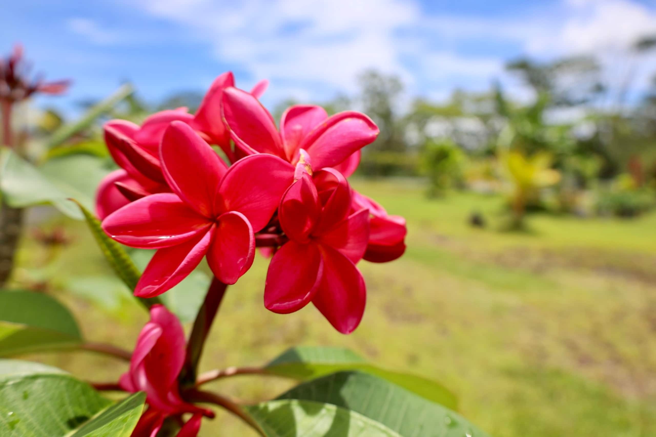 A Perfect location In Paradise! - Photo 17