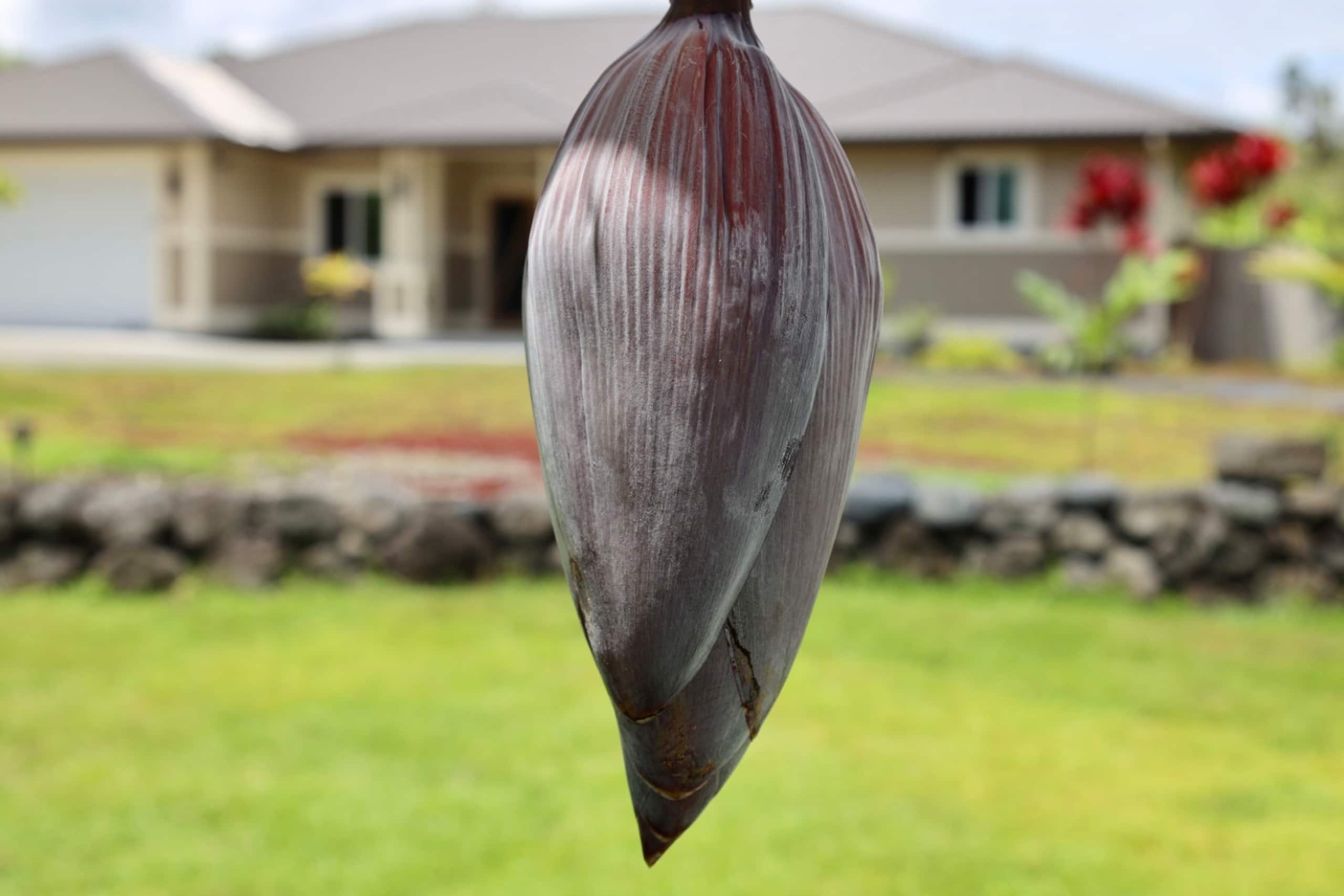 A Perfect location In Paradise! - Photo 19