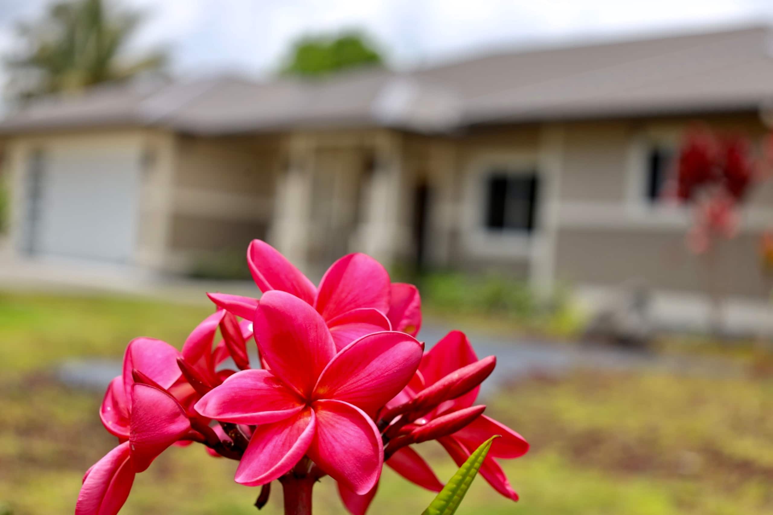 A Perfect location In Paradise! - Photo 21