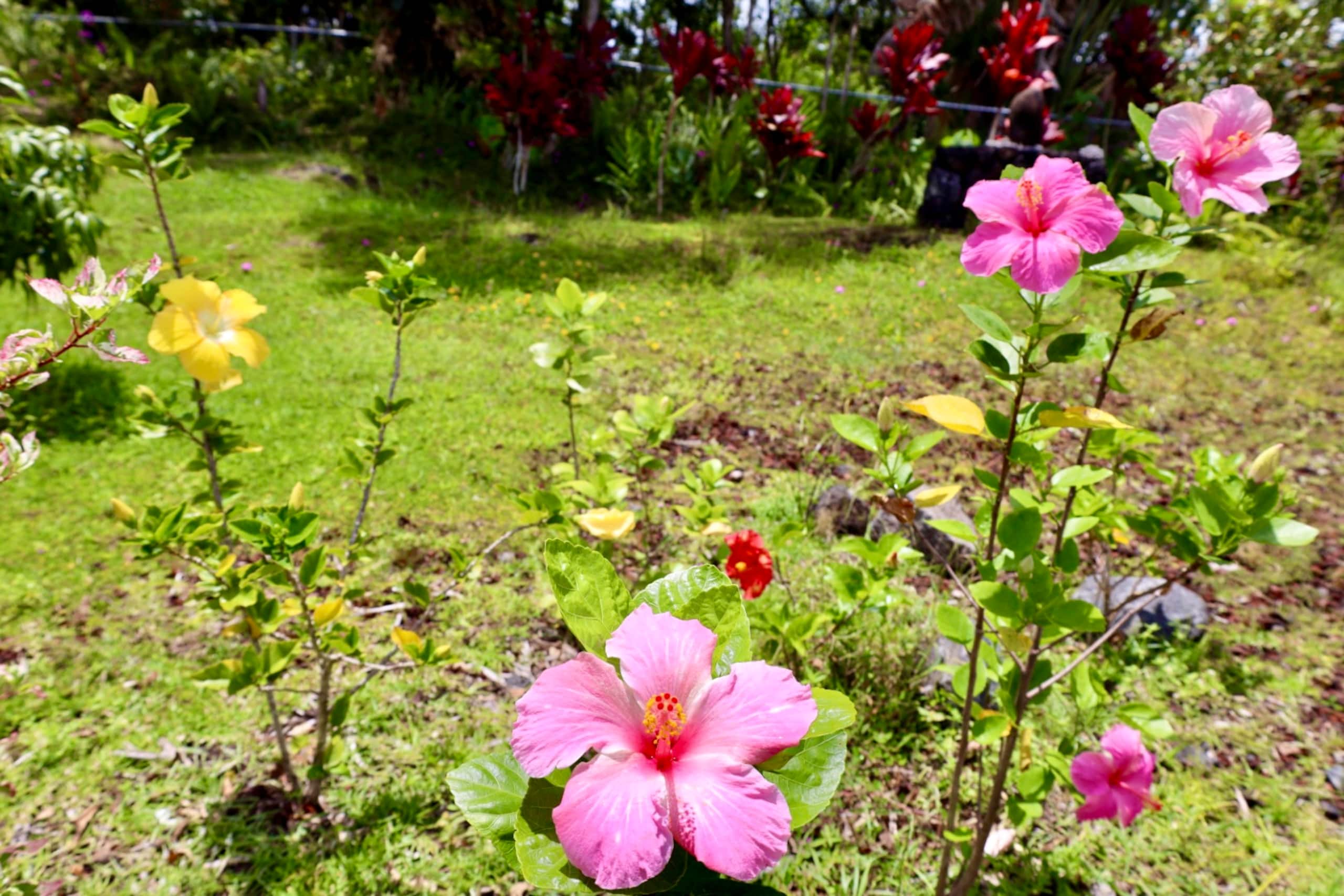 A Perfect location In Paradise! - Photo 16