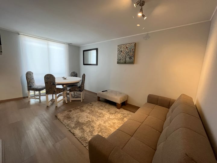 Comfortable apartment in downtown Santiago Apartments for Rent in