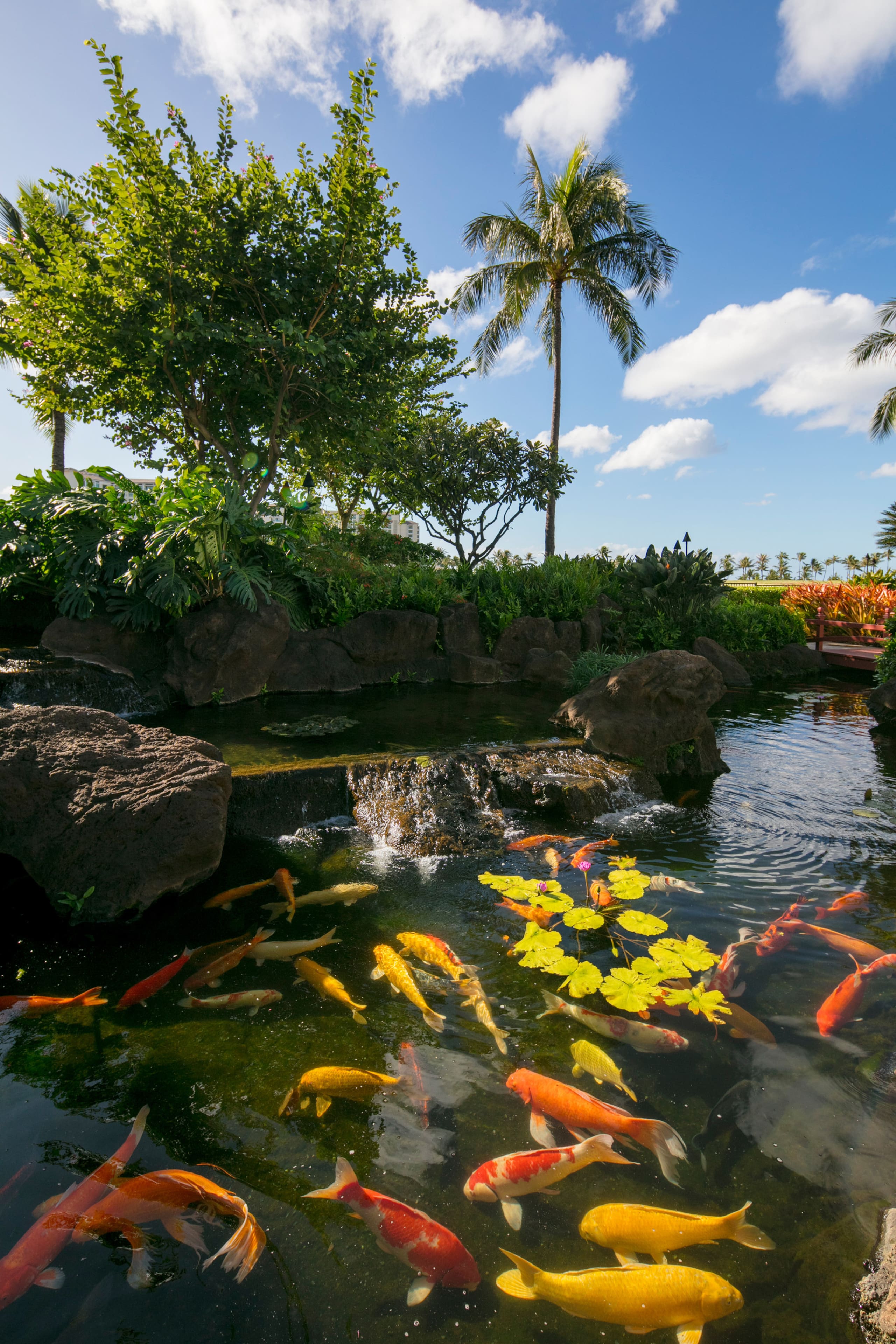 Condo in Kapolei · ★4.94 · 3 bedrooms · 4 beds · 2.5 private baths - Image 25