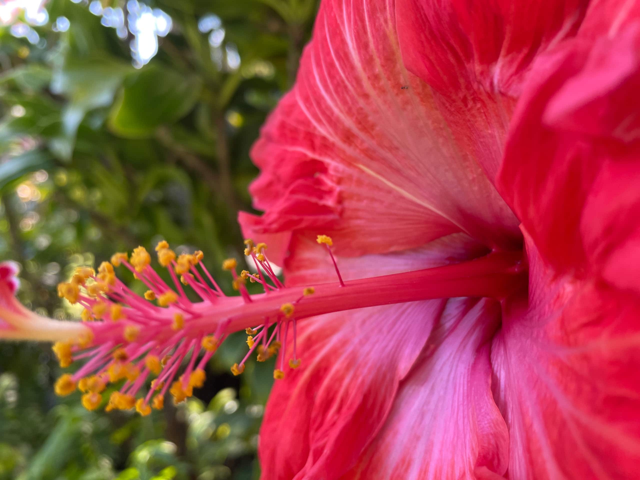 Condo in Wailea · ★4.99 · 2 bedrooms · 3 beds · 2 baths - Photo 90
