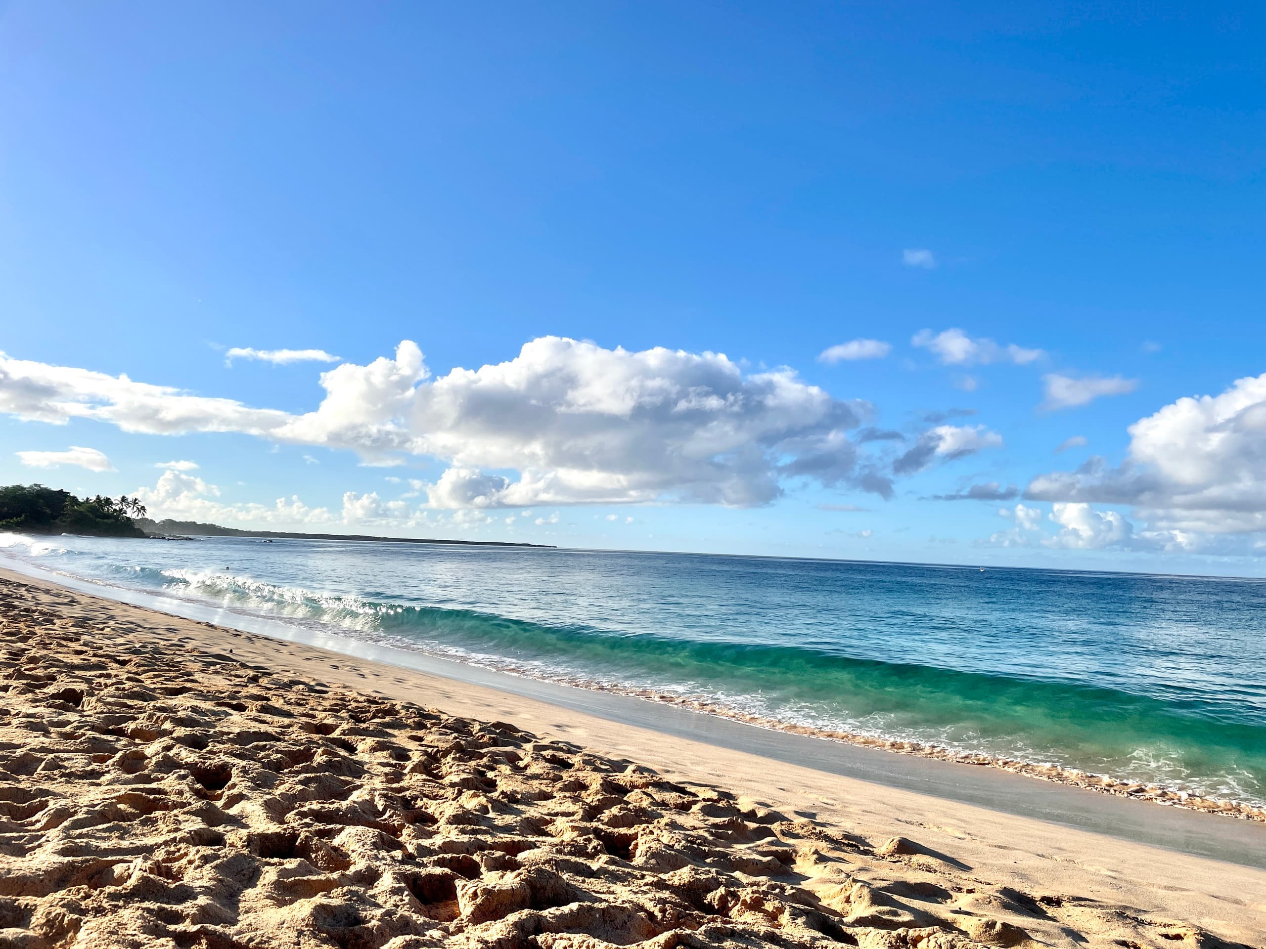 Condo in Wailea · ★4.99 · 2 bedrooms · 3 beds · 2 baths - Photo 92