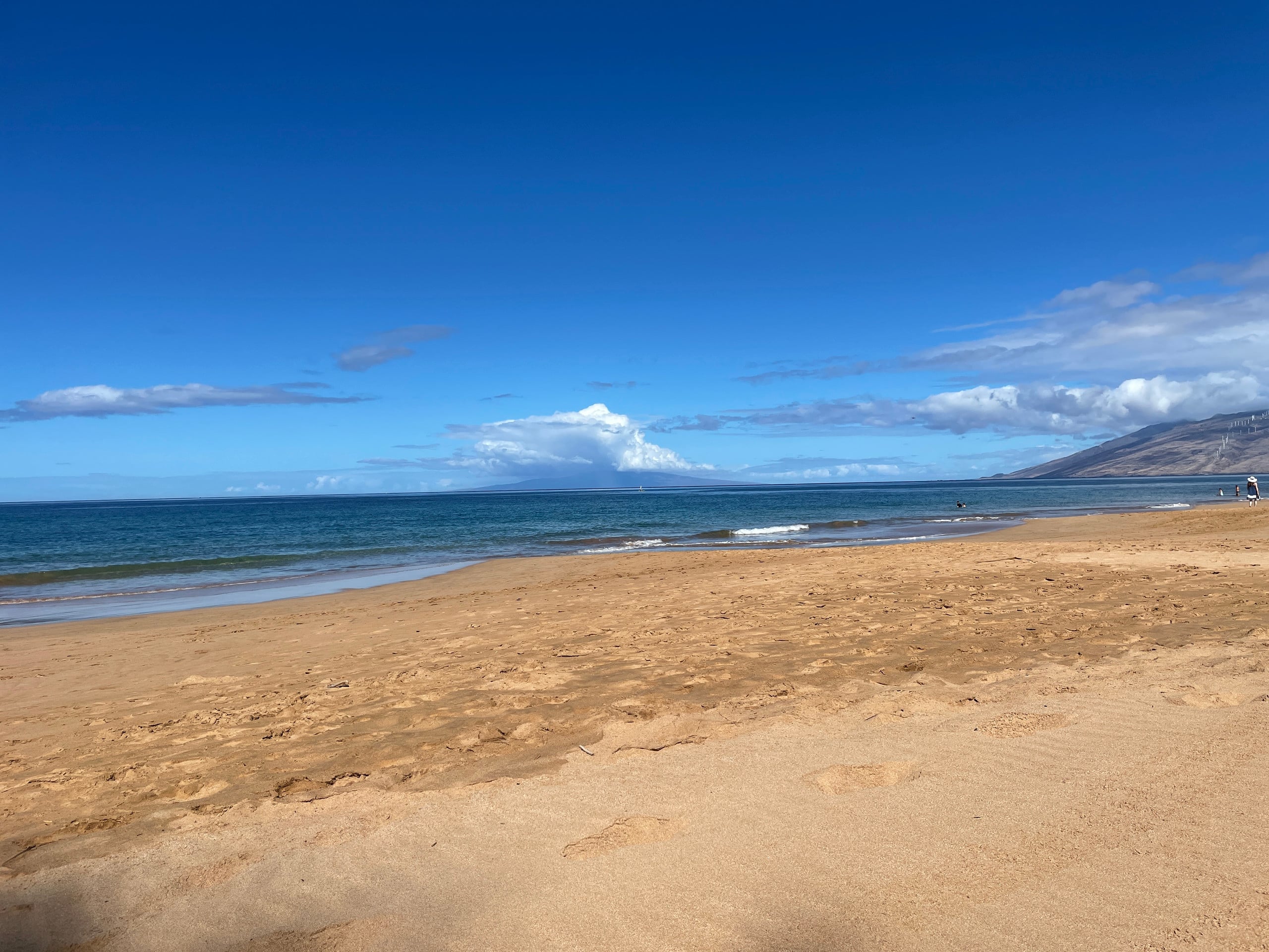Condo in Wailea · ★4.99 · 2 bedrooms · 3 beds · 2 baths - Photo 95
